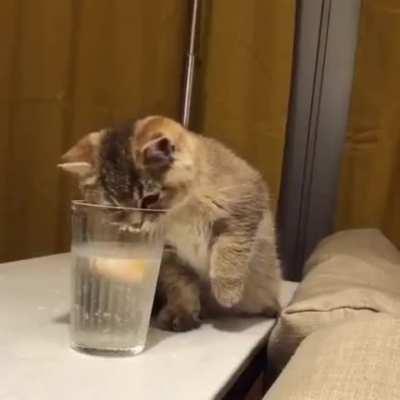 Tap The Lemon in Glass