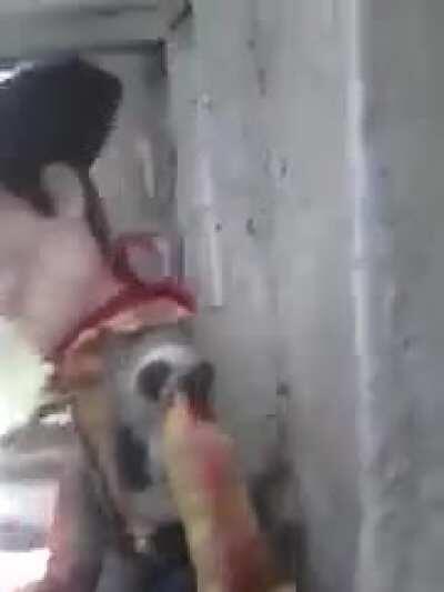 Se mueve ¡se mueve!