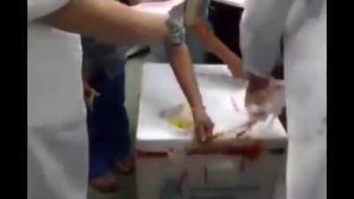 Operación telgopor: La apertura