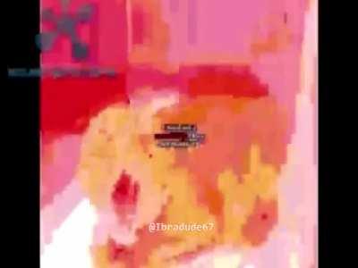 serbia cat 😎🇷🇸