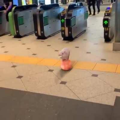 Мы смешные поросятки. Роем всю морковку с грядки. А живём недалеко. Любим мёд и молоко.