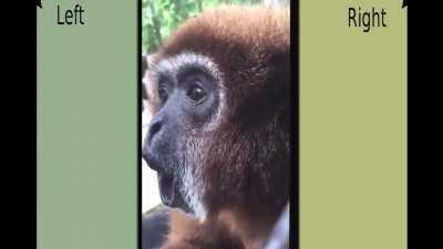 Libcenter when they finally get enough money to buy an off-grid house in a forest