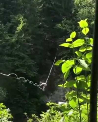 It's all under control