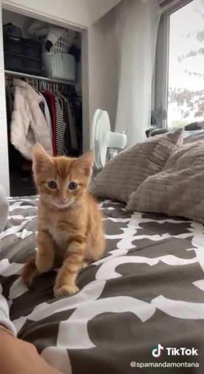 The way he tapped her gently!