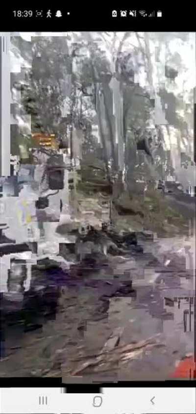 Mount Dandenong road