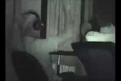 white teenagers really tricked yall into thinking this bs was good or 