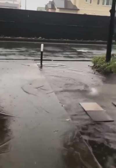 Proof that Death Stranding is a documentary.