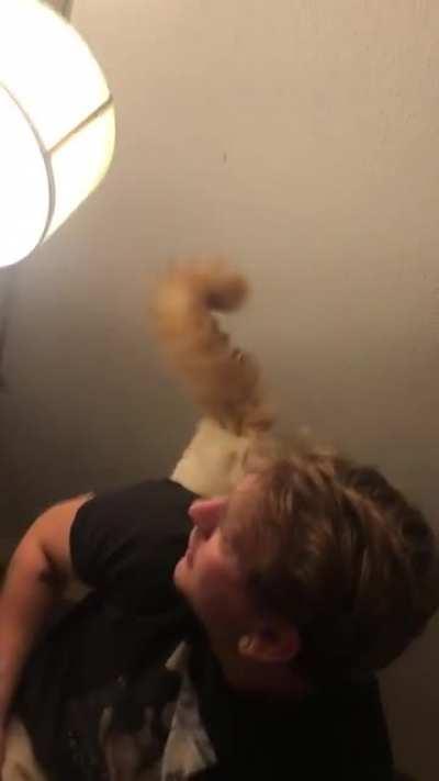 My boyfriend and my cat working as a team to catch a moth