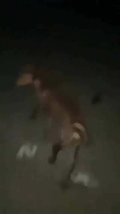 sasta nasha overdose