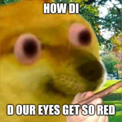 Le Joey's head has been questioned