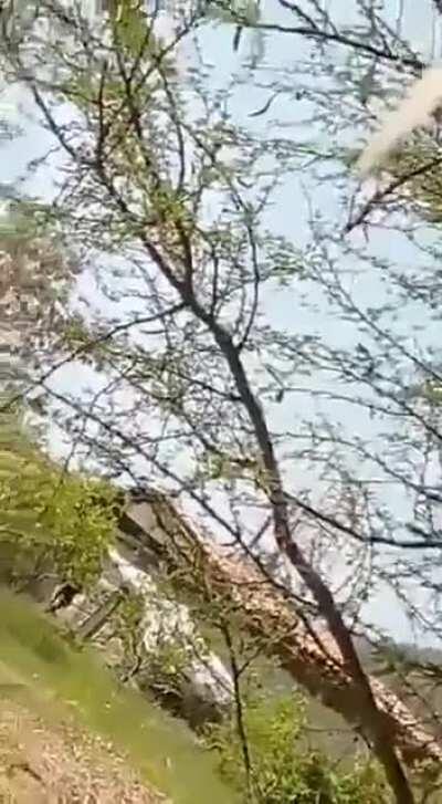 More footage released here you can see the criminals ambushing and shooting towards the cops