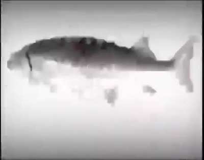 I don't know why it's so funny but I can't stop laughing.