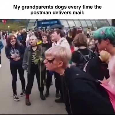 Say hello to my furry friend