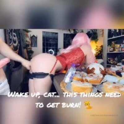 26 cat go to eat some food 😻 - part 1