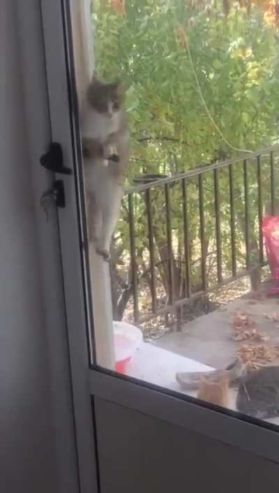 This isn't the first time he's done this.