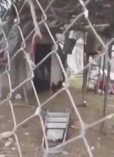 I do not want to know what goes on in the shed 😨