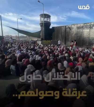 🇵🇸🇵🇸🇵🇸