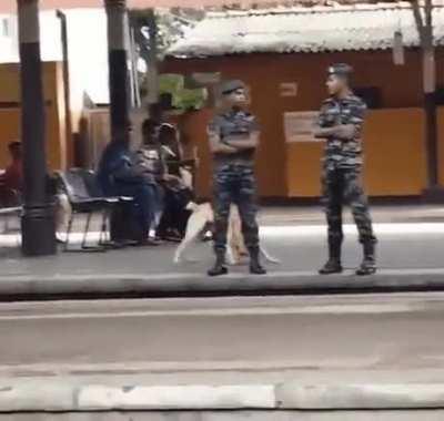 There's a time for work, and a time for herp derp.