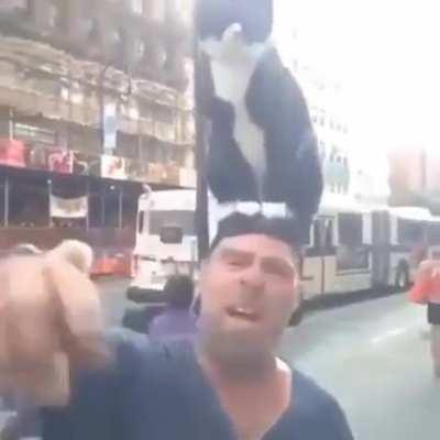 cat hat cat hat cat hat cat hat cat hat cat hat cat hat cat hat cat hat cat hat cat hat cat hat cat hat cat hat cat hat cat hat cat hat cat hat cat hat cat hat cat hat cat hat cat hat cat hat cat hat cat hat cat hat cat hat