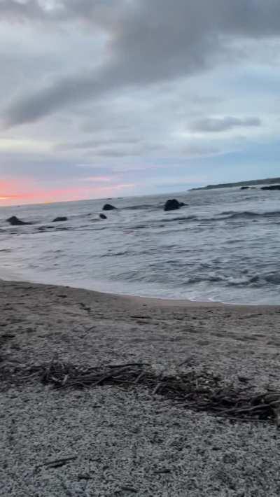 A Beach Day Flash! [GIF]