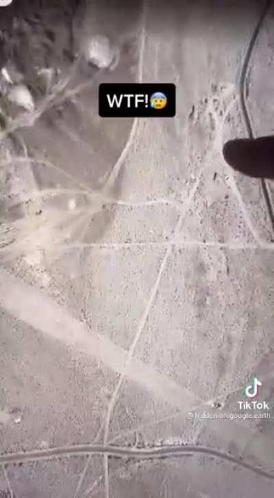 😨😨😨😨😨😨😨