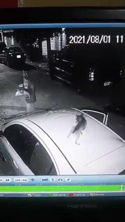 Aguas con el Puchacabras