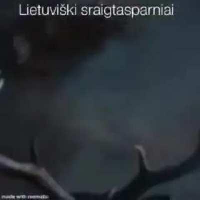 Ostatni polak 🇮🇩 przepedzany z wilna przez sily powietrzne litewskiej socjalistycznej republiki radzieckiej 🇸🇰 (1946 koloryzowane) 😔