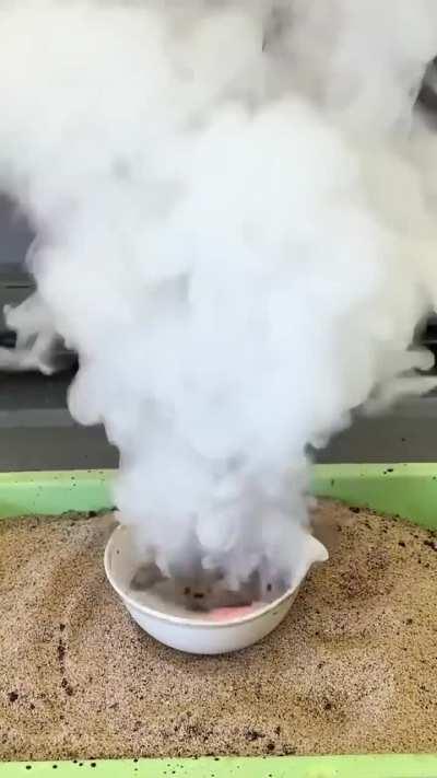 The easiest way to start a campfire