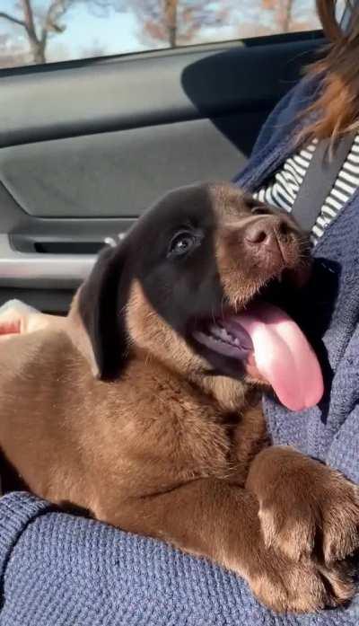 The warmest, softest and happiest...