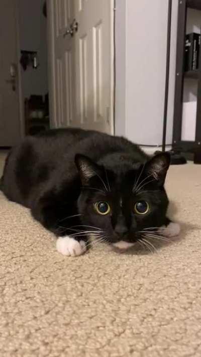 That little lip quiver