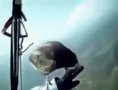 Bird visiting paraglider