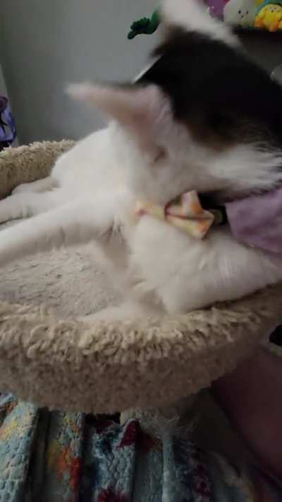 Cassie's activation sound is...interesting.