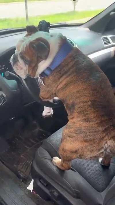 Oh yes oh yes oh yes oh yes oh yes