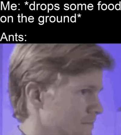 It’s free real estate