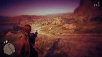 Red deads wildlife in a nutshell