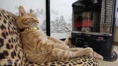 Warming up by the heater