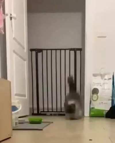 Ultra Quicky Calculation & Execution