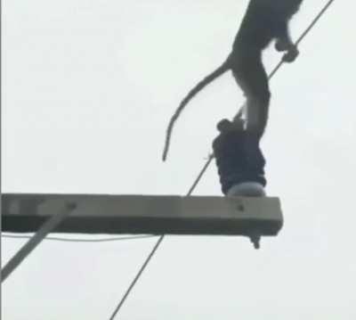 5y you when you hit a world border