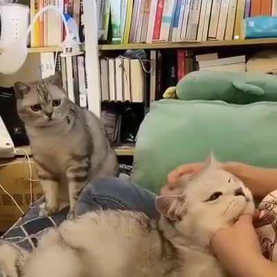 I want to be loved too