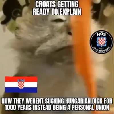 Like, if you look at the map of Croatia, doesn't it look like a gaping mouth? 🙄