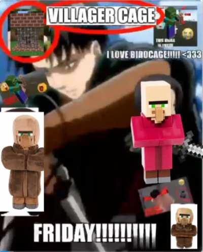 villagercage friday