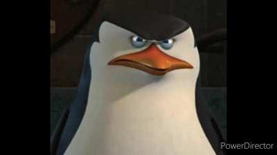 The Penguins End Racism 2: The Return of Trump