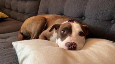 Not a good girl, she's best girl!