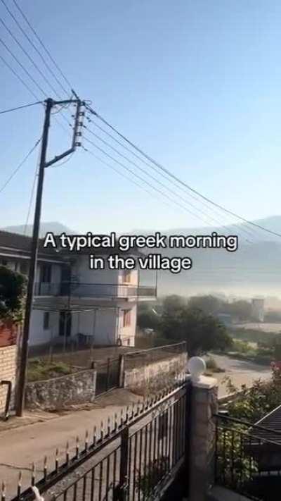 I love it when my Greek daddy screams at me 😏