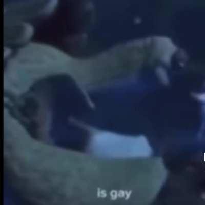 I think I download the wrong kung fu panda🙂