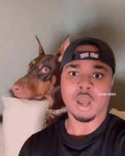 That last frame is comedy gold