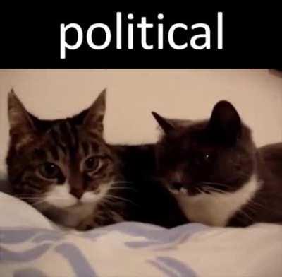 Politics
