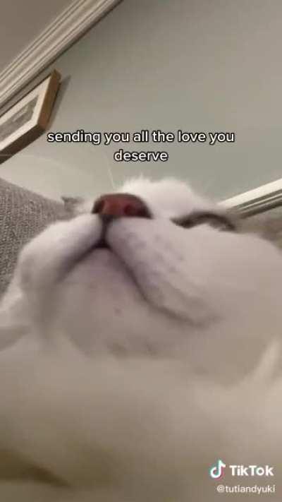 Sorry for tiktok, but you cant tell me doesnt hit yo emotions