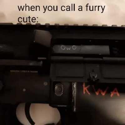 Cute_irl