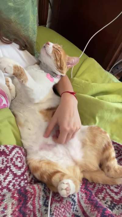 I'm in bed with COVID and this is the best therapy I can get